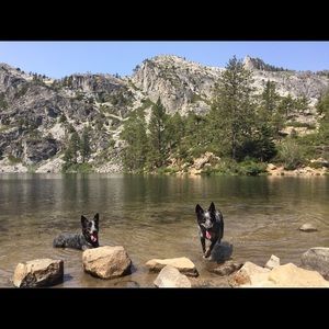 Meet your Posher, Hannah